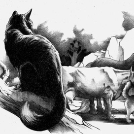 КОШКА... Дикие твари из дикого леса