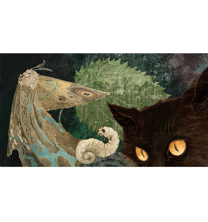 Illustration for the book «The other history of nature», Ketebe publishing house