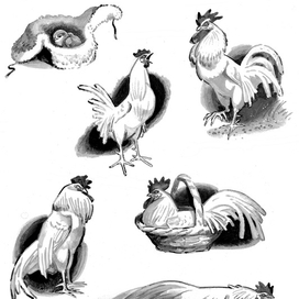 Оборки к "Питкин, Кис и хозяйка"