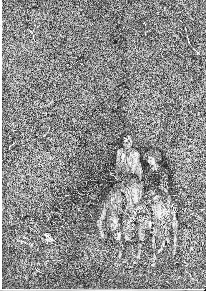 неизвестные путники