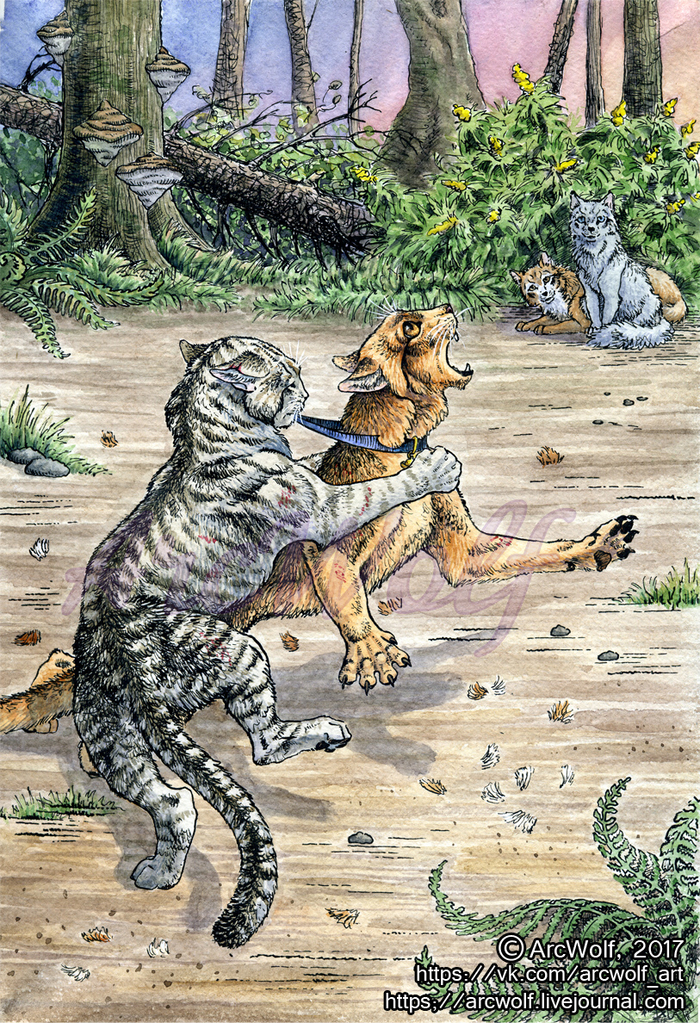 Драка Рыжика с Долгохвостом