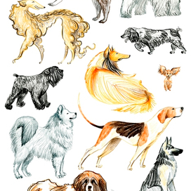 Русские породы собак