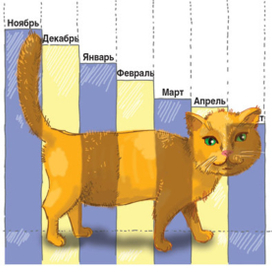 Котенок в кредит