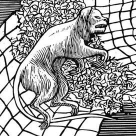 Иллюстрации к "Повествованию Артура Гордона Пима" Эдгара Аллана По