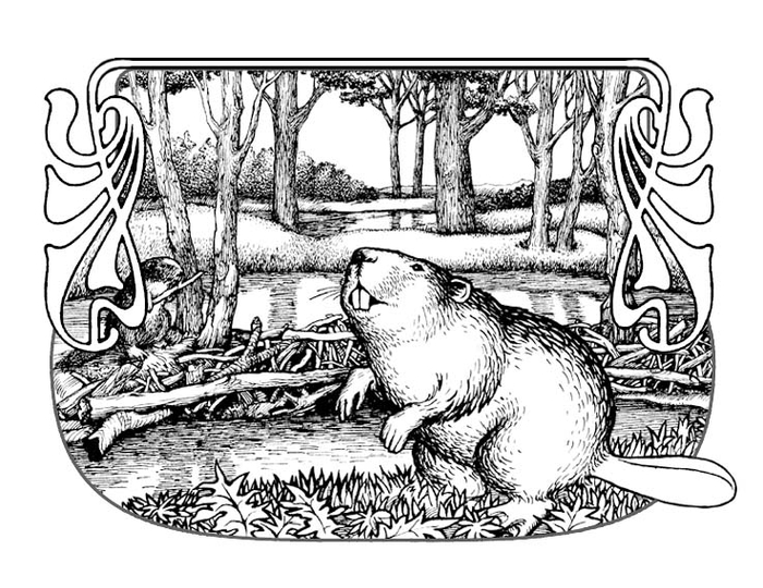 Рисунок для этикетки минеральной воды.