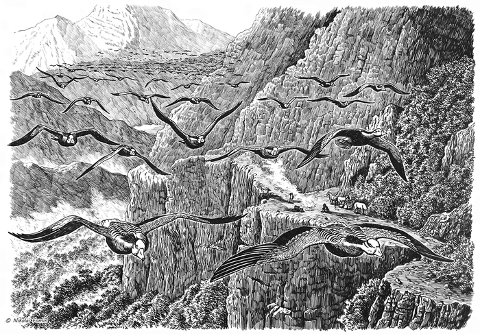 Индийские горные пошли.