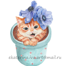 Котенок и анемон