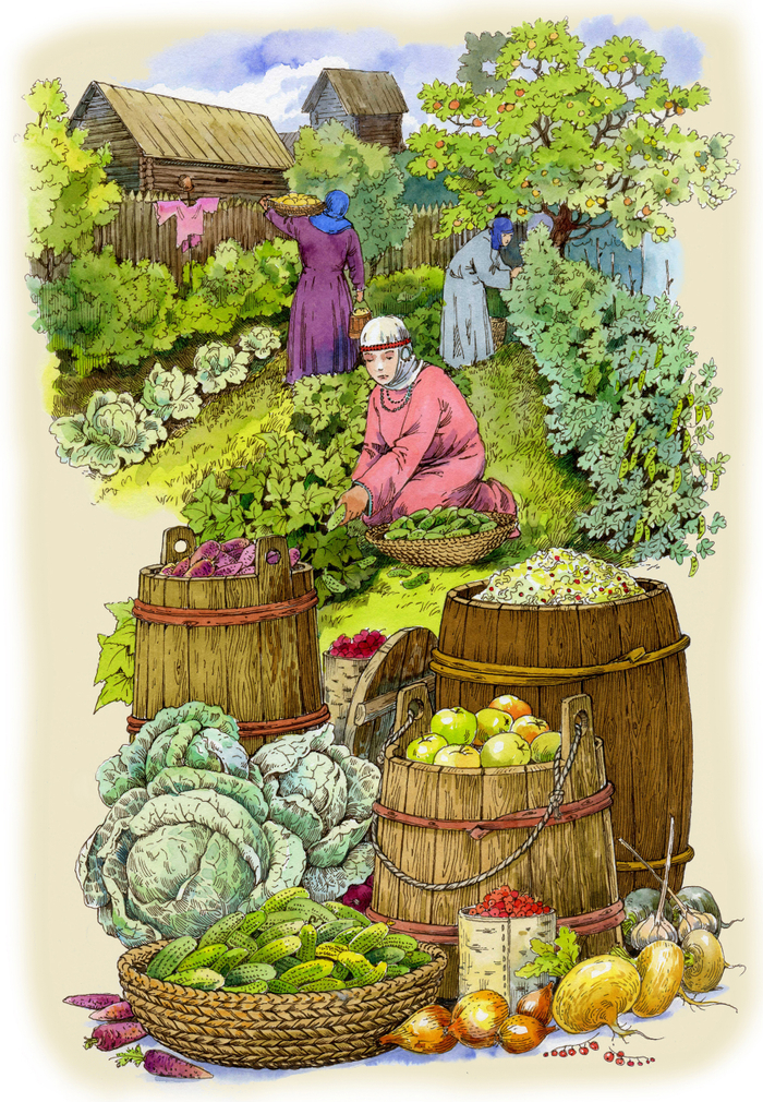 Огород древнего Новгорода