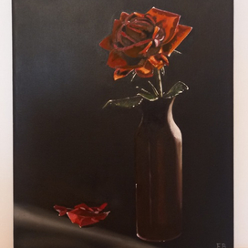 Без названия 