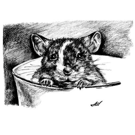 Символ) года.