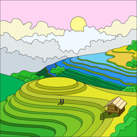 рисовые поля