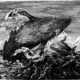 Освоение Русского Севера 2 лист моего диплома