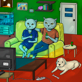 отдых котиков