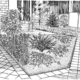 Видовой рисунок к ландшафтному проекту