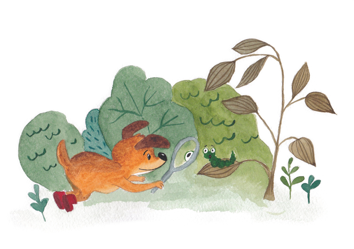 Натуралист