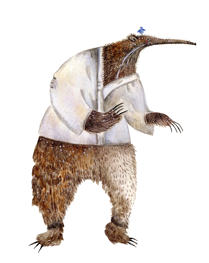 Муравьед Гриша