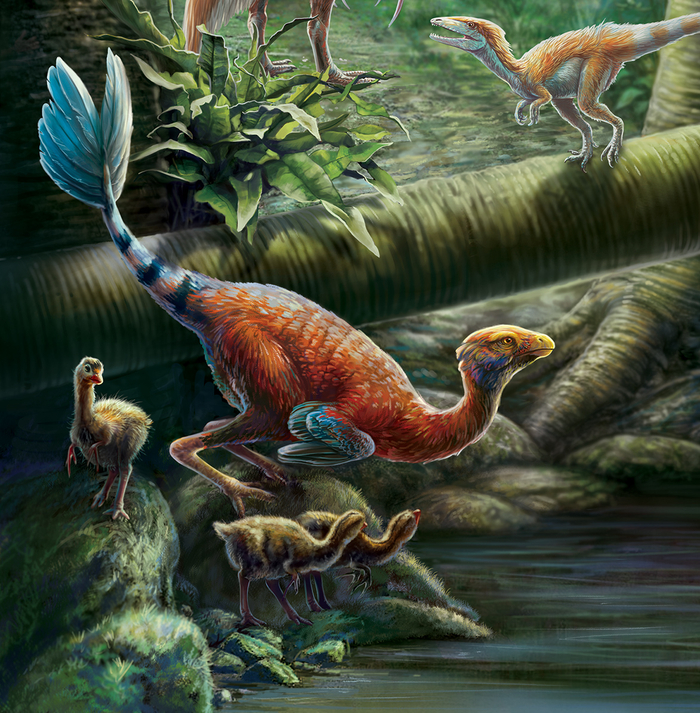 Пернатая семейка