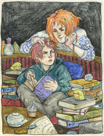 Книжная лавка