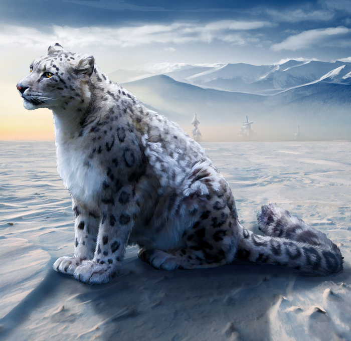 снежный барс