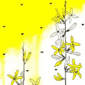 print series flowers