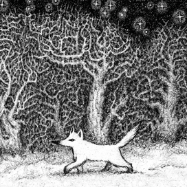 Снежный лис