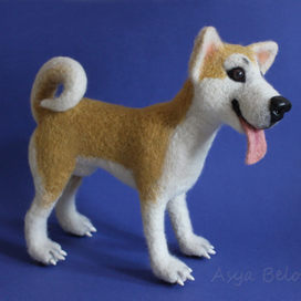 Акита-ину. Зовут Рыжик