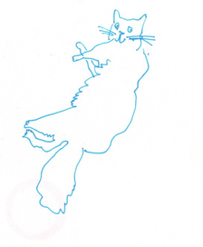 Мой новый кот