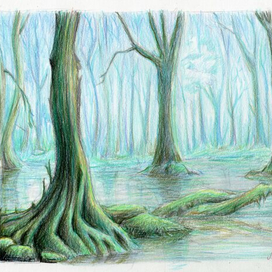 Непроходимая Топь