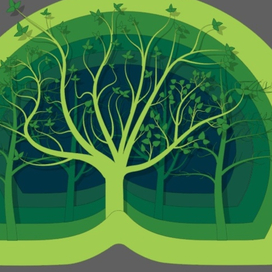 Многослойный лес