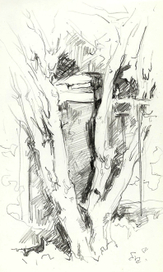 дерево и забор