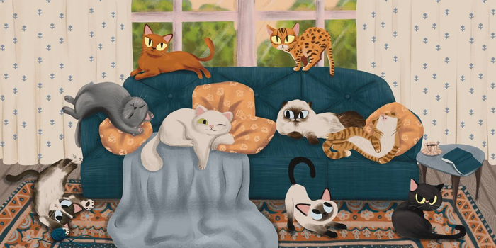 Коты и кошки. Иллюстрация к детской книге с окошками