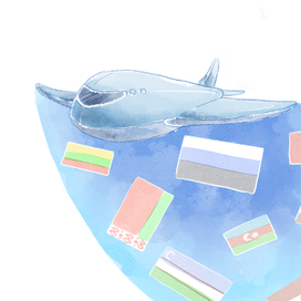 Возможности банковских карт