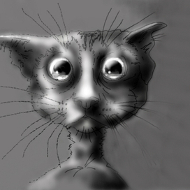 Грустный кот