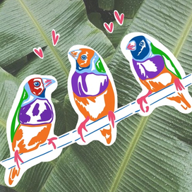 Попугаи на ветке