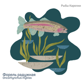 Серия "Рыбы Карелии"