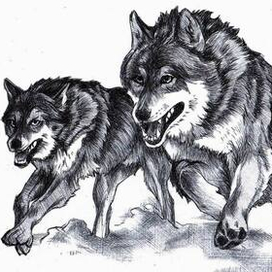 Молниеносный. 1-0