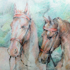 Лошади в цвете