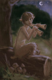 Вечером в лесу