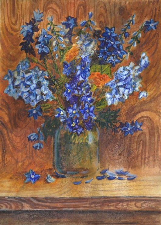 дельфиниум