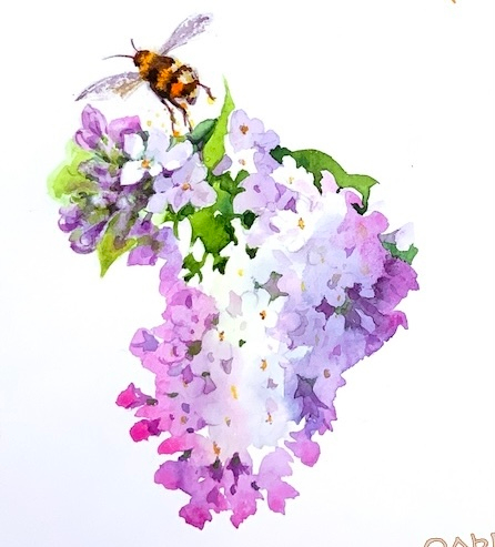 Юрий Коваль «Сирень и рябина» для издательства Качели