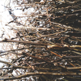 На работе на Sony EXPERIA ZL)