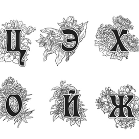 буквицы пять