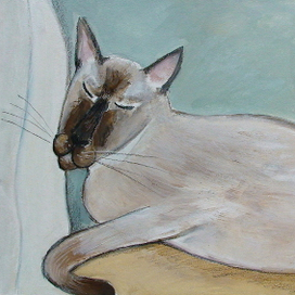 Сладкий сон