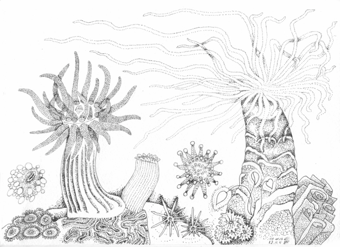 Опять про море... НЕзаконченное...