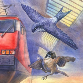 Птицы на вокзале