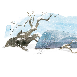 "Совиный волк"