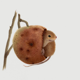 Сладкий завтрак.