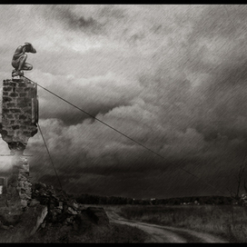 Последнее убежище...