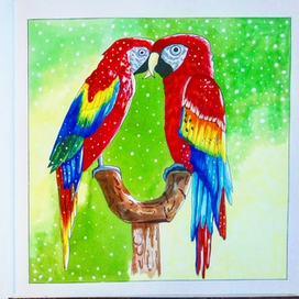 Попугай Ара