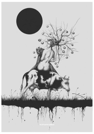 Плодородие